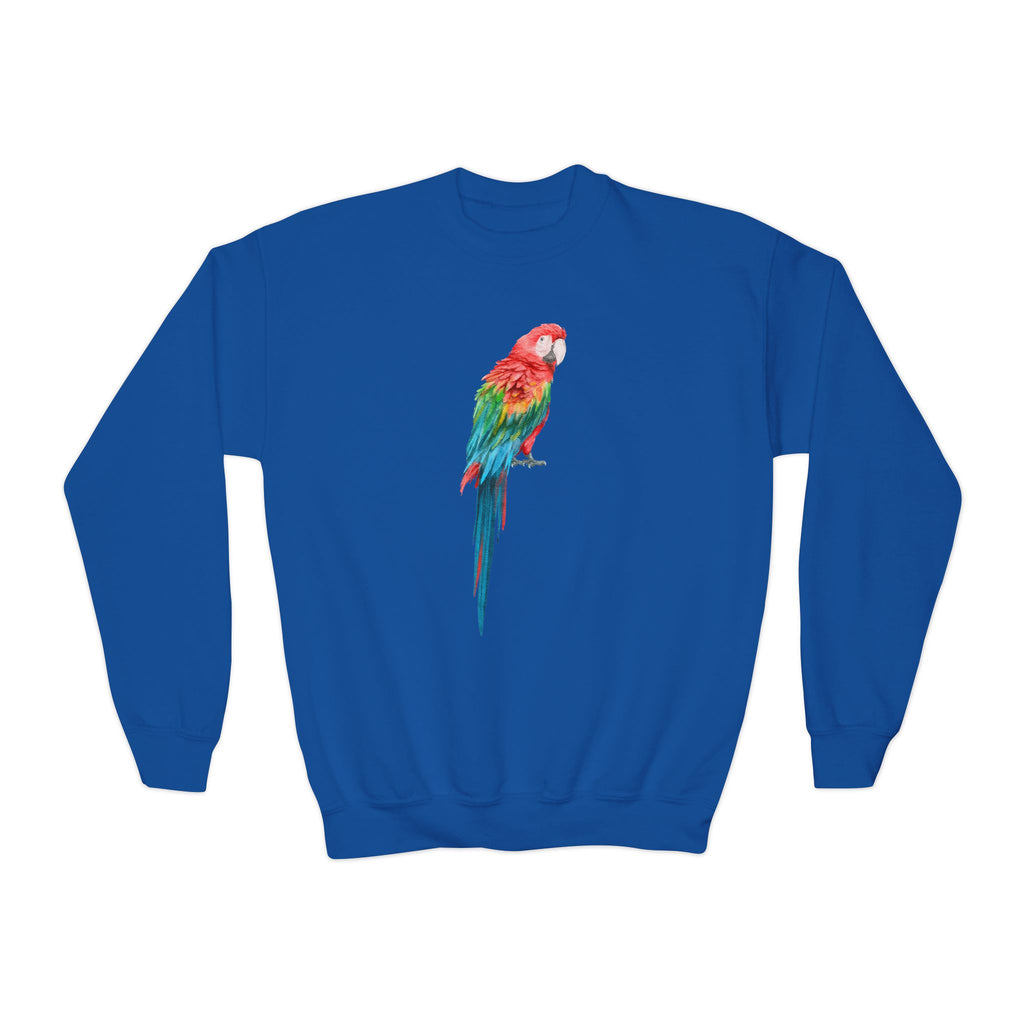 Royal blue kids sweatshirt with a vibrant multicolored macaw parrot graphic perfect for tropical style pullover