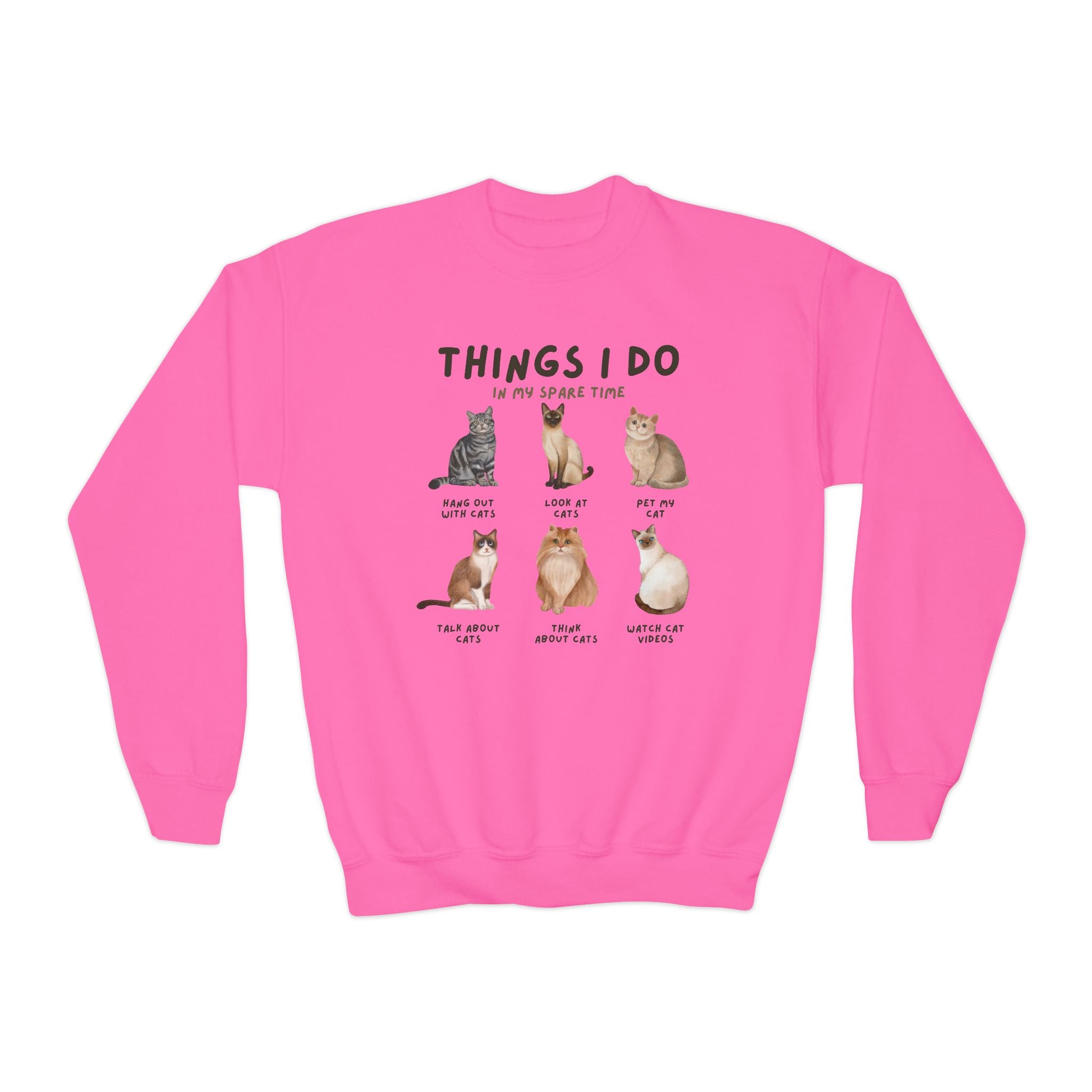 Kids 'Things I Do In My Spare Time' Cat Sweatshirt