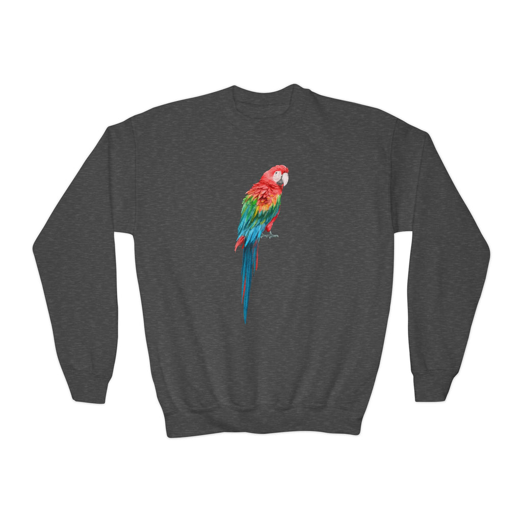 Dark gray crewneck sweatshirt featuring a vibrant watercolor-style red and green macaw parrot graphic for kids