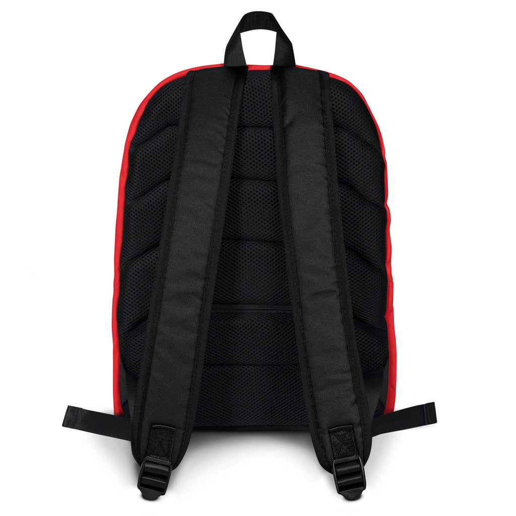 Kids red backpack back side with black and red fabric mesh back panel and padded shoulder straps for comfort