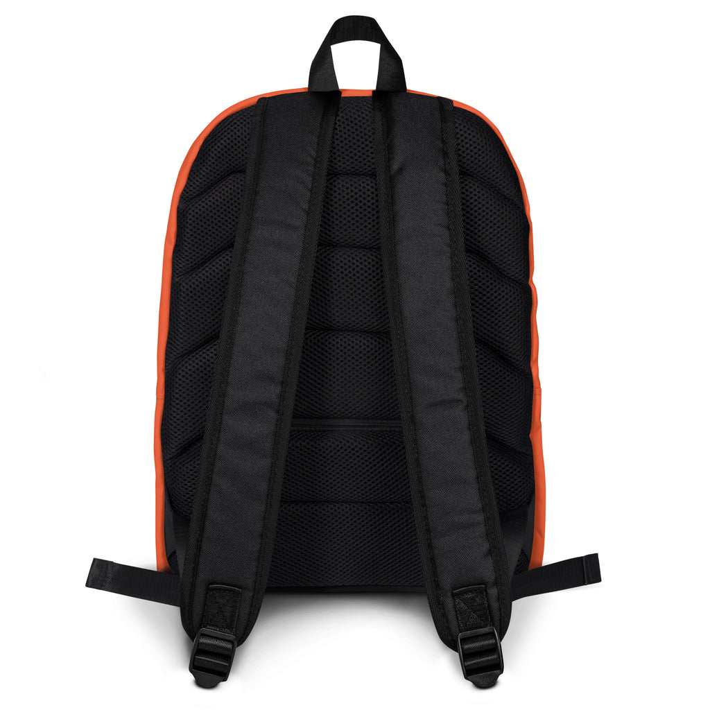 Back view of kids orange backpack with black and orange fabric mesh back panel and padded shoulder straps