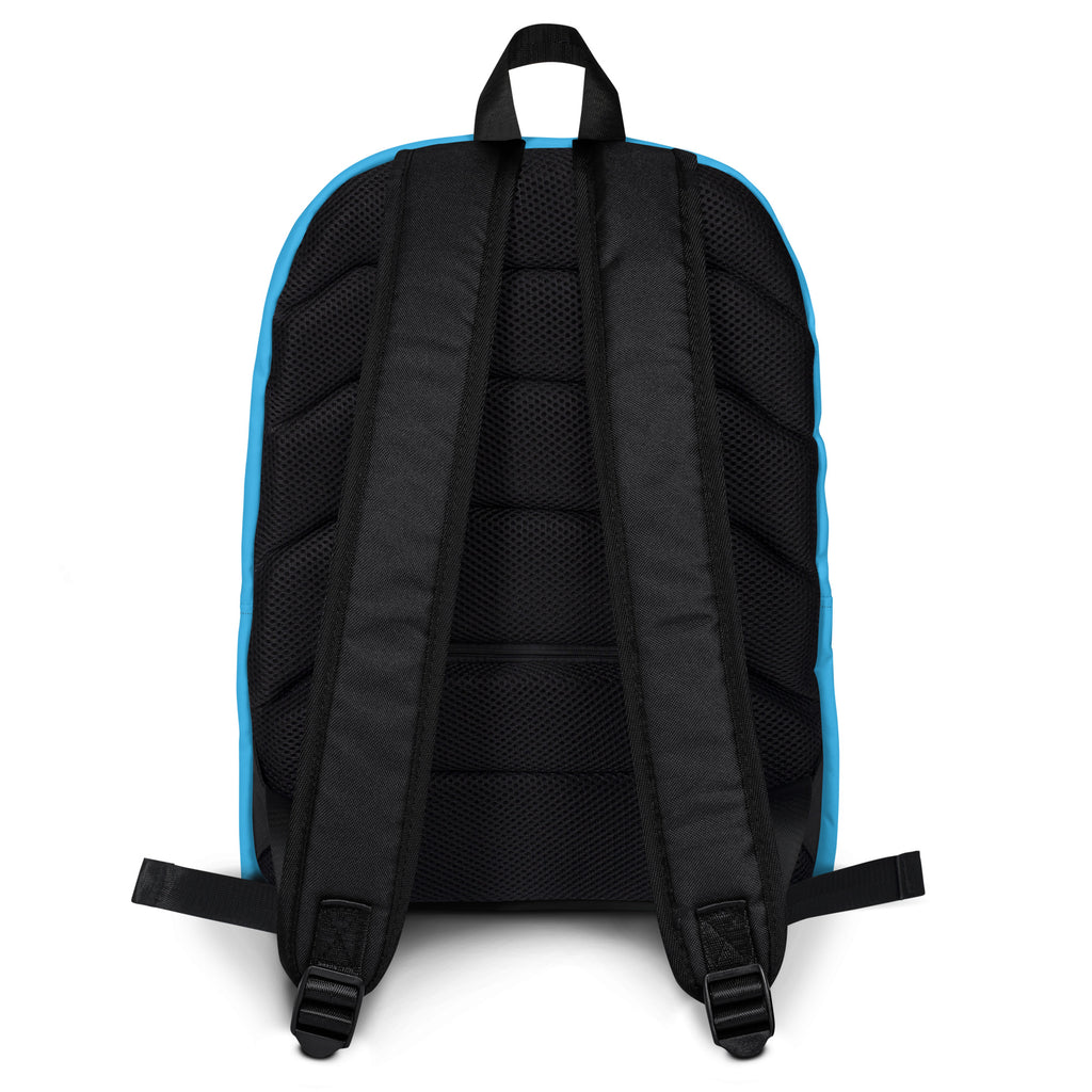 Kids sky blue backpack showing the back with padded mesh panels and adjustable shoulder straps in black and light blue
