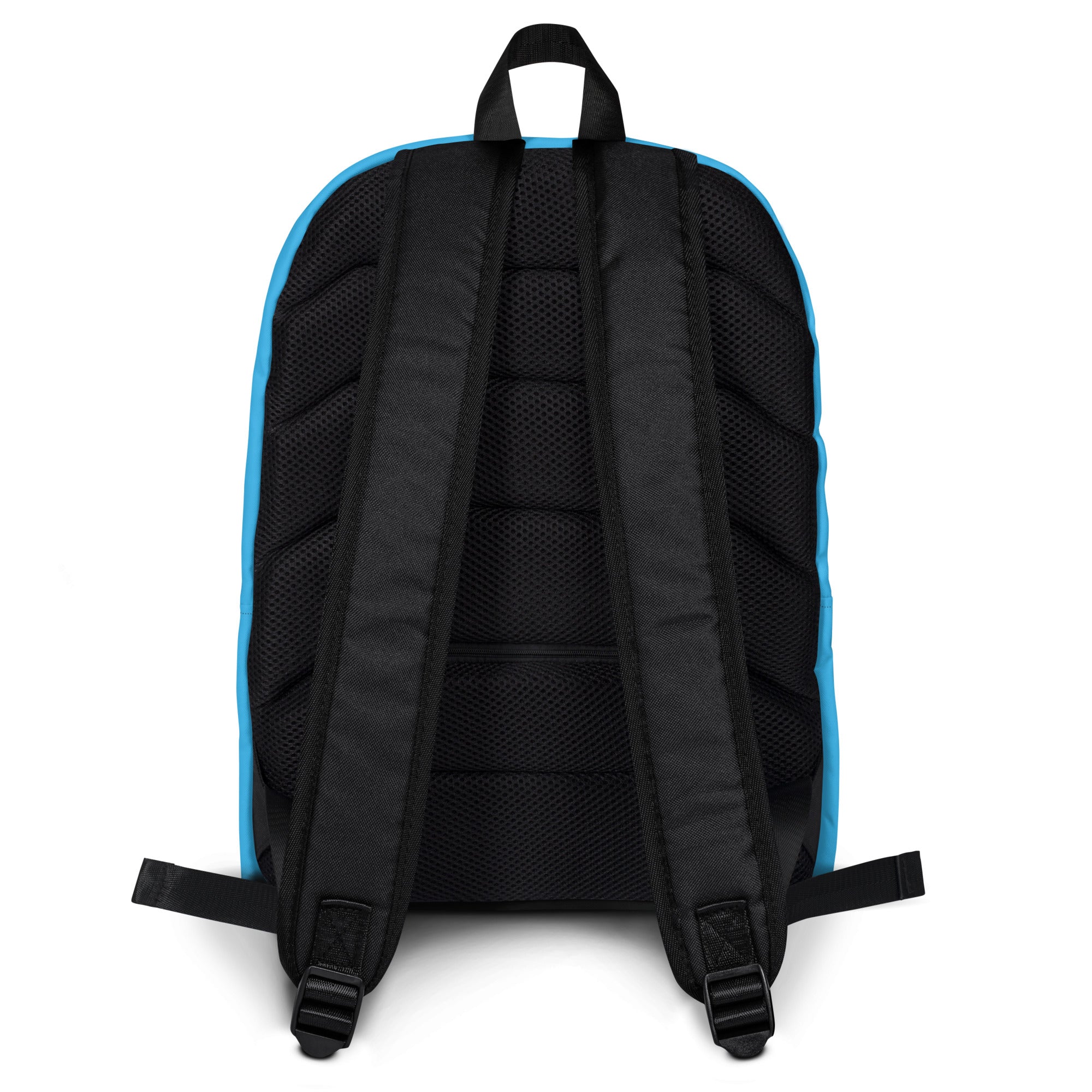 Kids sky blue backpack showing the back with padded mesh panels and adjustable shoulder straps in black and light blue