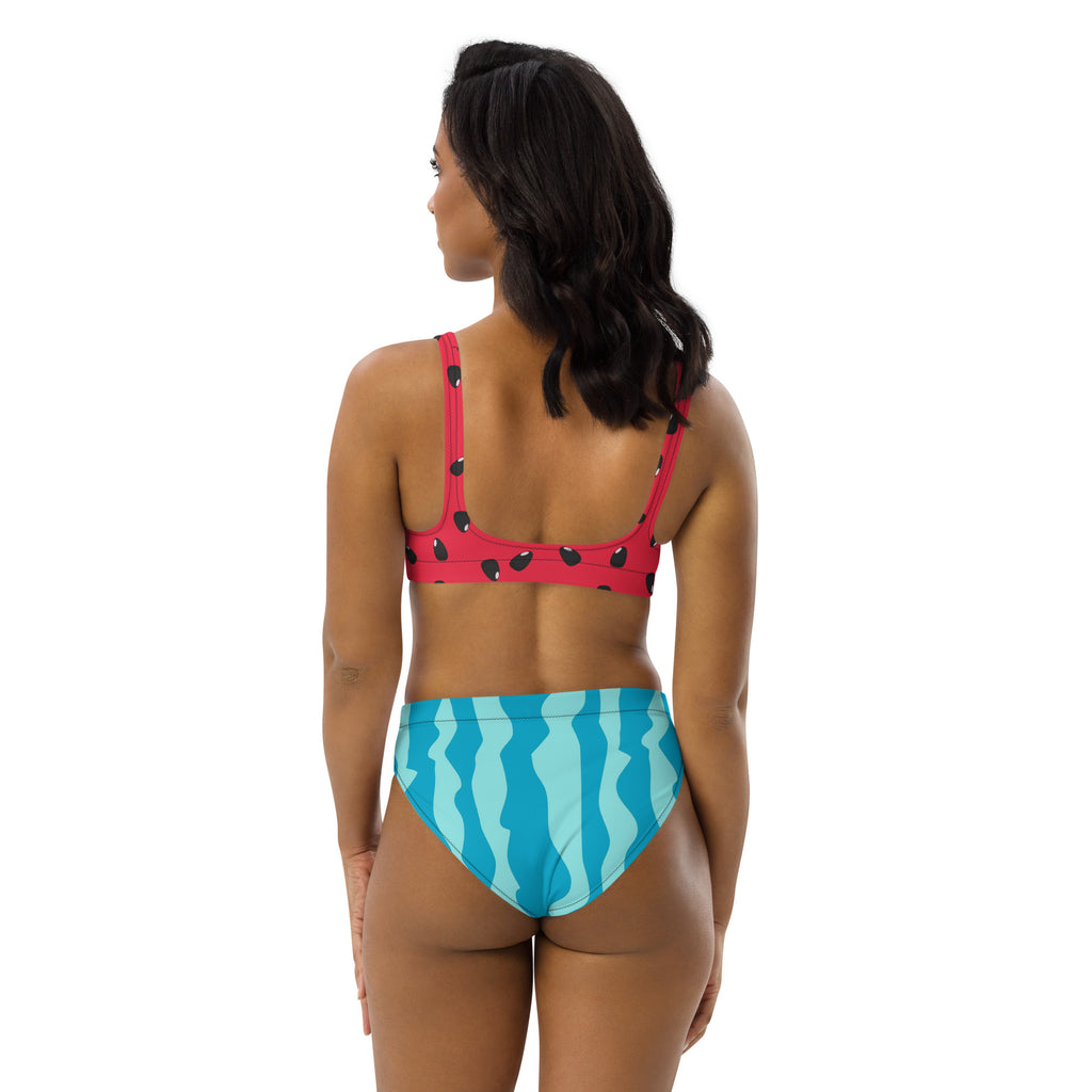 A vibrant womens watermelon padded recycled bikini with a pink seed print top and blue striped high-waisted bottoms