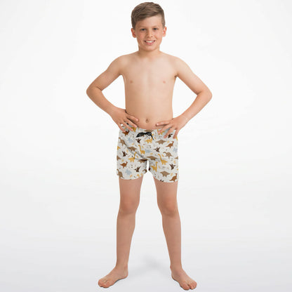 Boys Dinosaur Quick Drying Swim Trunks