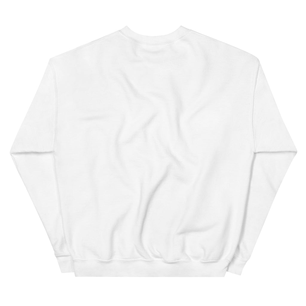 back of white sweatshirt on a white background